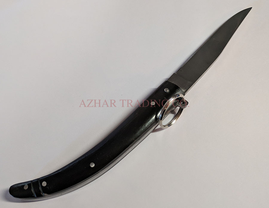 Penny Lock Blade Folding Knife