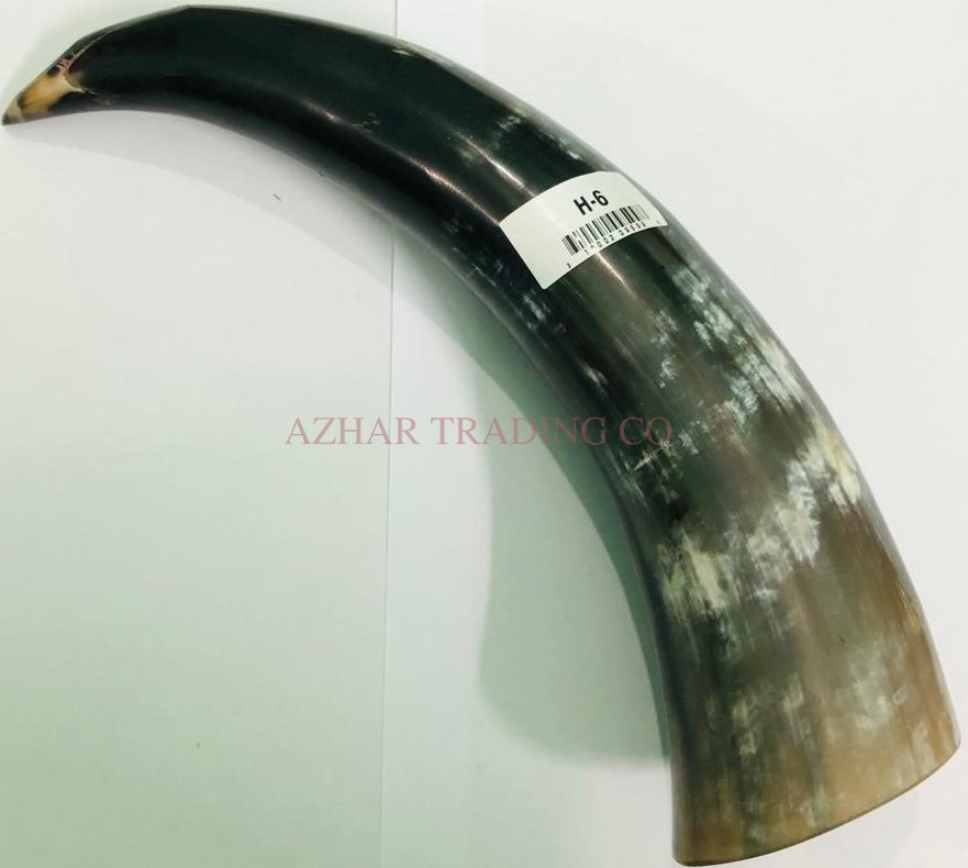 Medium Buffalo Horn Drinking Horn