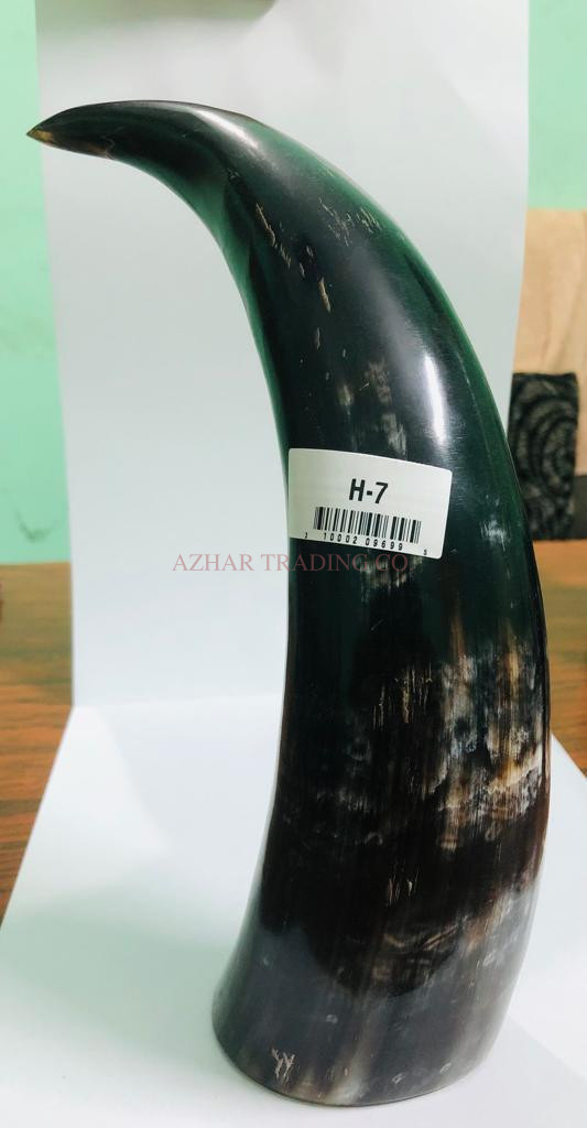 Natural Buffalo Horn Drinking Horn